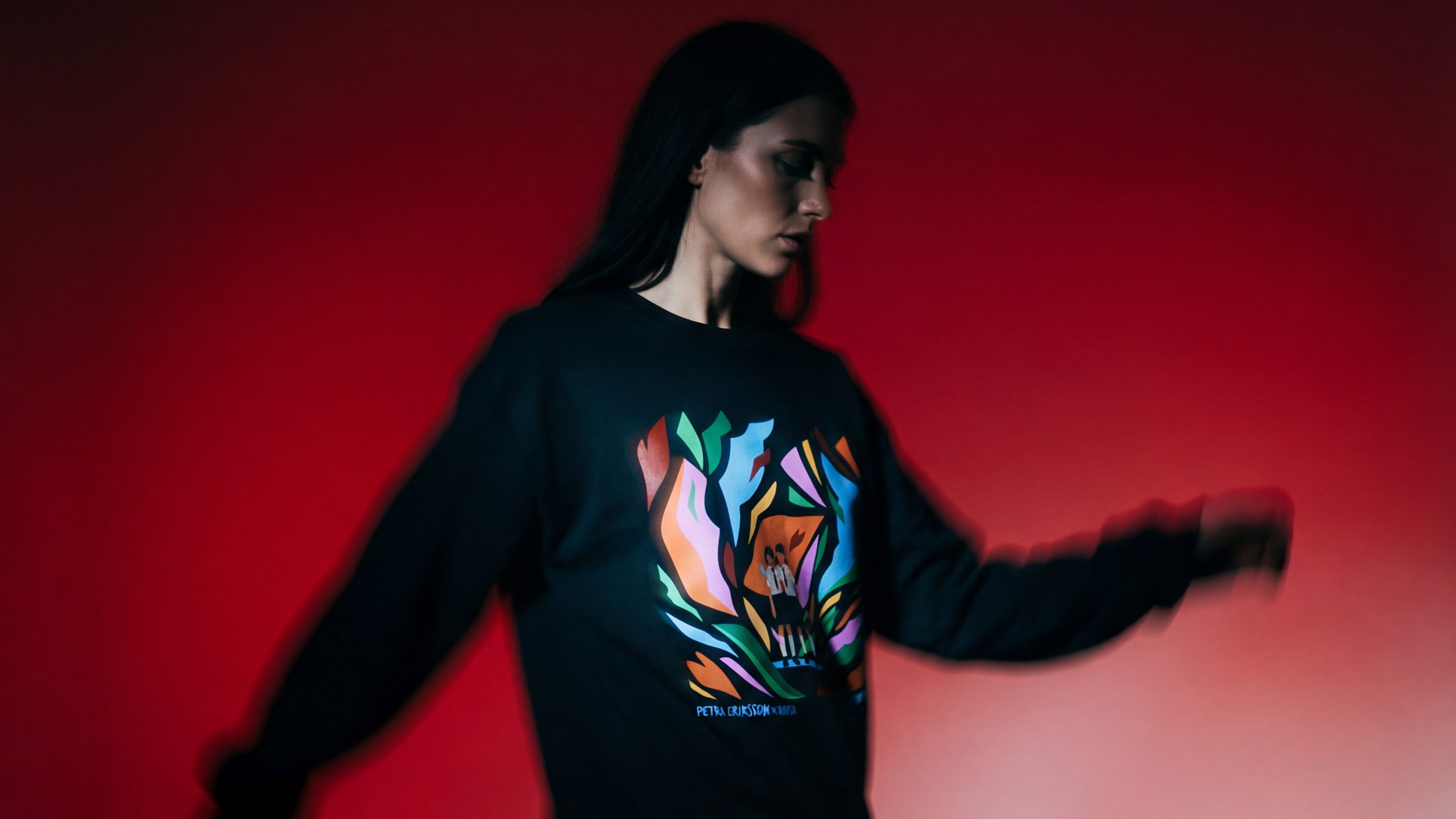 wearable-art-collab-petra-eriksson-anisa-t-shirt-tote-sweater-21